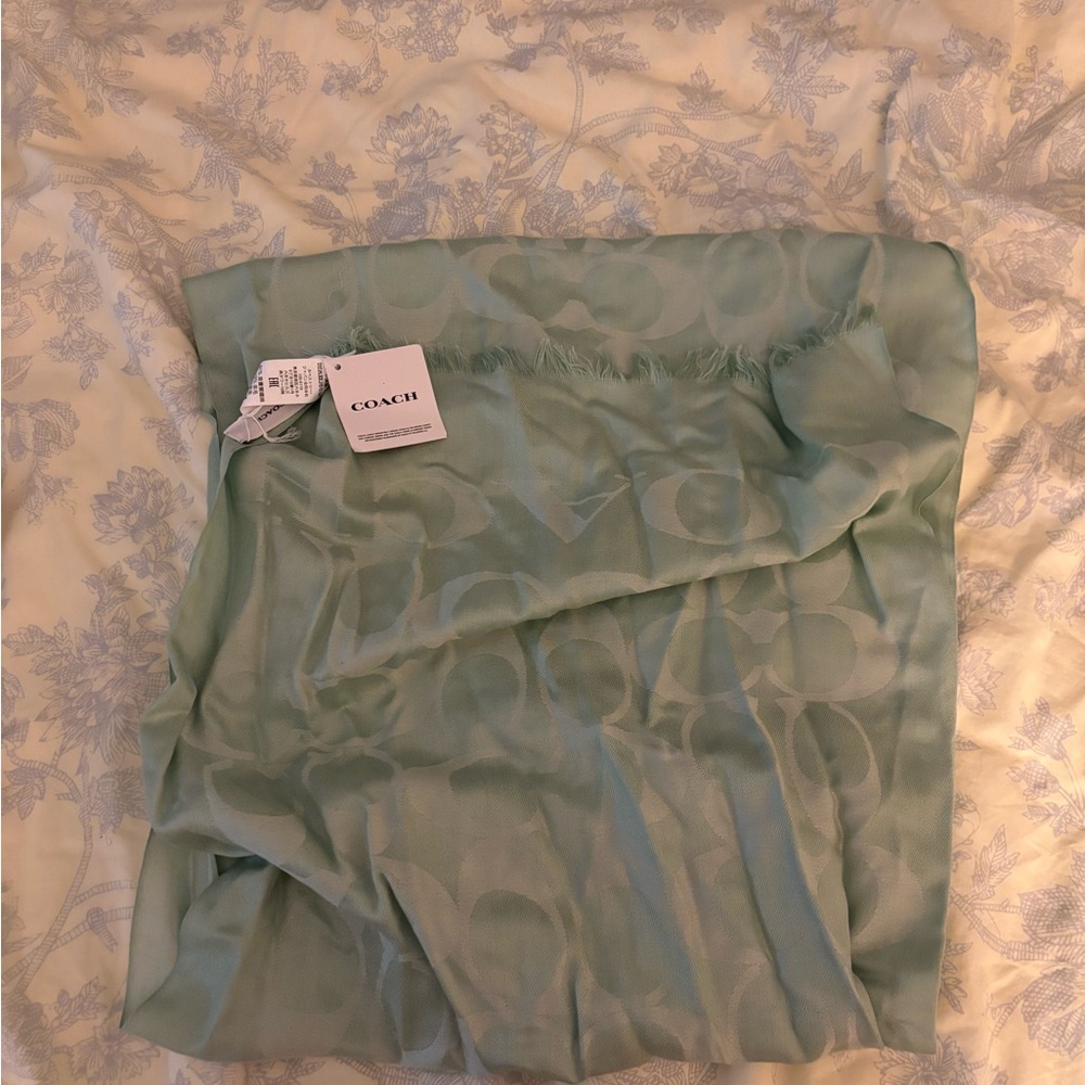 Coach Mint Green Scarf - Picture 2 of 2
